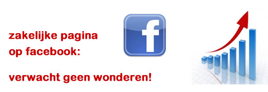 facebook zakelijke pagina